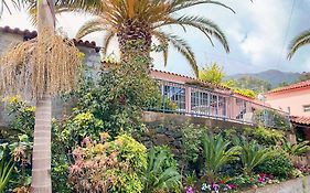 Gardens Guest House-Hostel